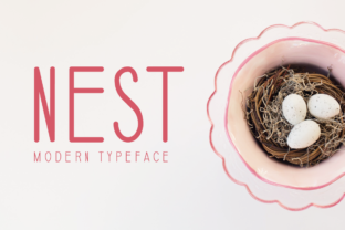 Nest: A Font That Merges Tradition with Modern Elegance